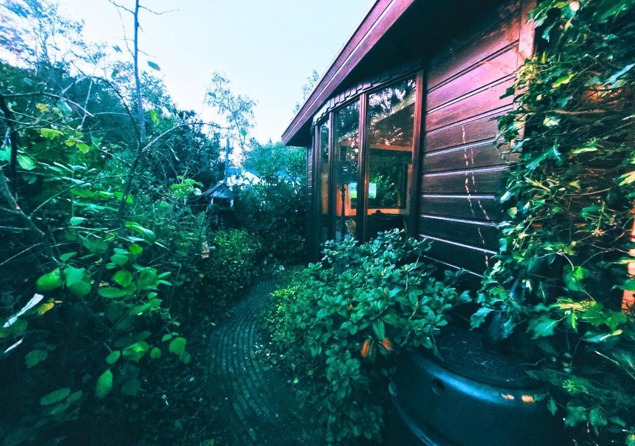 "De Jungle" Chalet Met Veranda Op Ijsselheide Hattemerbroek Veluwe Ngoại thất bức ảnh